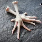 Feet Of Chicken, Chicken Paws, Hen Feet, Recipe Chicken Feet, Recipe For Chicken Feet, Recipe Of Chicken Feet, Chicken Feet Recipe, Chicken Feet Nutrition, Chicken Feet Dish, Buy Chicken Feet Online, Chicken Feet Online, Raw Chicken Feet, Buy Raw Chicken Feet,