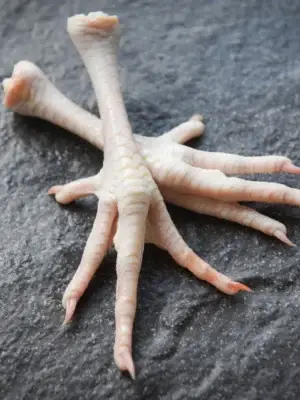 Feet Of Chicken, Chicken Paws, Hen Feet, Recipe Chicken Feet, Recipe For Chicken Feet, Recipe Of Chicken Feet, Chicken Feet Recipe, Chicken Feet Nutrition, Chicken Feet Dish, Buy Chicken Feet Online, Chicken Feet Online, Raw Chicken Feet, Buy Raw Chicken Feet,