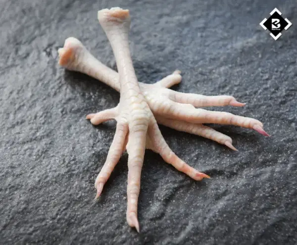 Feet Of Chicken, Chicken Paws, Hen Feet, Recipe Chicken Feet, Recipe For Chicken Feet, Recipe Of Chicken Feet, Chicken Feet Recipe, Chicken Feet Nutrition, Chicken Feet Dish, Buy Chicken Feet Online, Chicken Feet Online, Raw Chicken Feet, Buy Raw Chicken Feet,