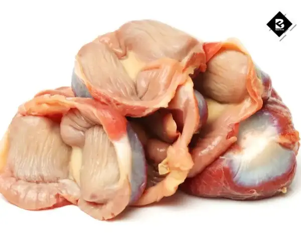 Buy Gizzard Online, Buy Chicken Pota Online, Buy Chicken Gizzard Online, Gizzard, Chicken Gizzard, Gizzard Chicken, Gizzard In Chicken, Online Chicken Delivery, Gizzard Meaning, Chicken Online, Gizzard Meaning In Hindi, Chicken Gizzard Benefits, Chicken Gizzard Health Benefits, Benefits Of Chicken Gizzard, Benefits Of Chicken Gizzards, Chicken Gizzard In Hindi, What Is A Gizzard In A Chicken,