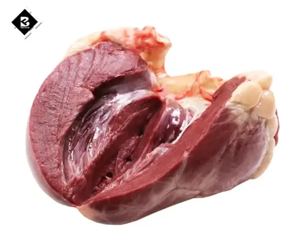 Goat Heart, Lamb Heart Meat, Mutton Heart Online, Mutton Heart, Buy Mutton Heart Online, Buy Mutton Heart,